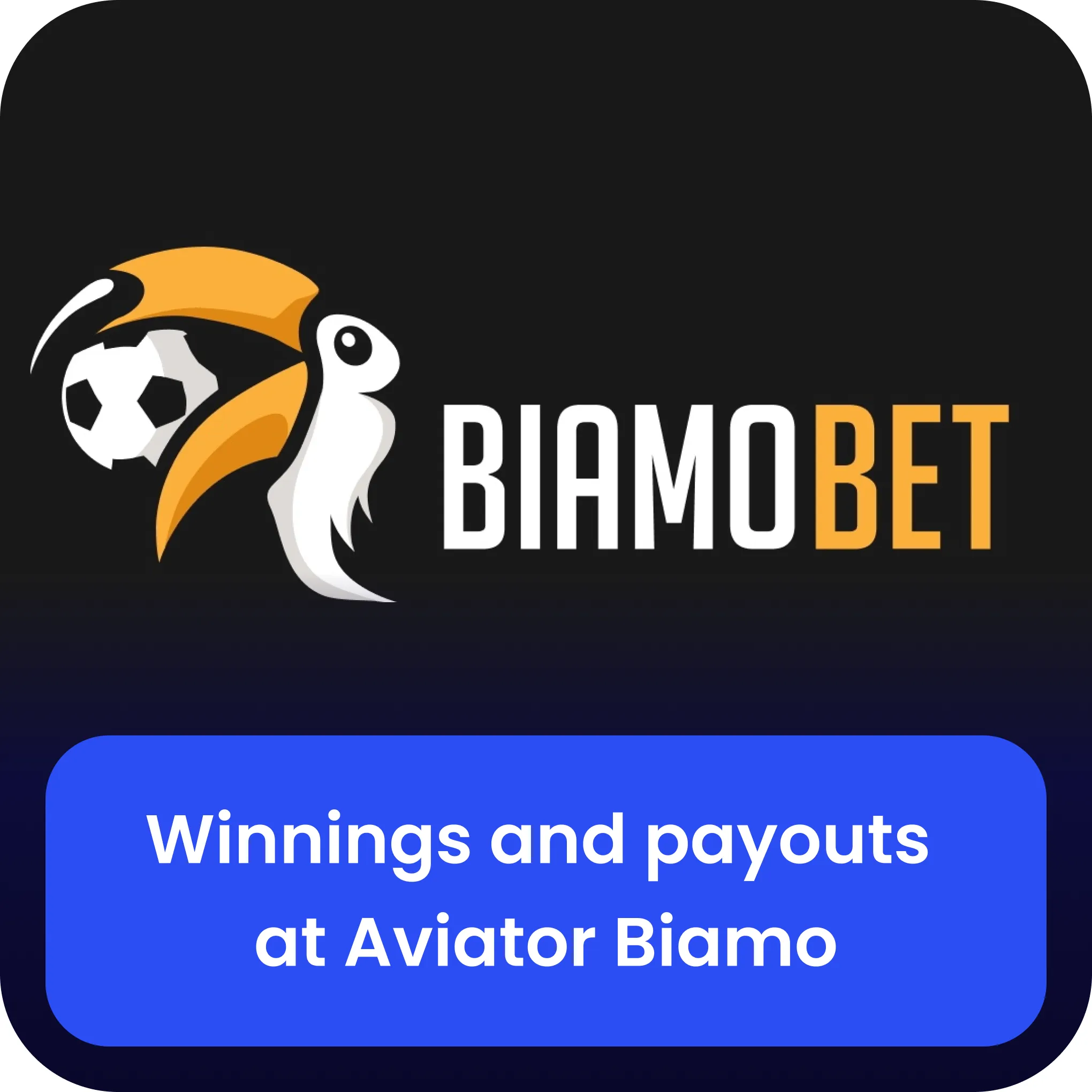 biamobet aviator winnings and payouts