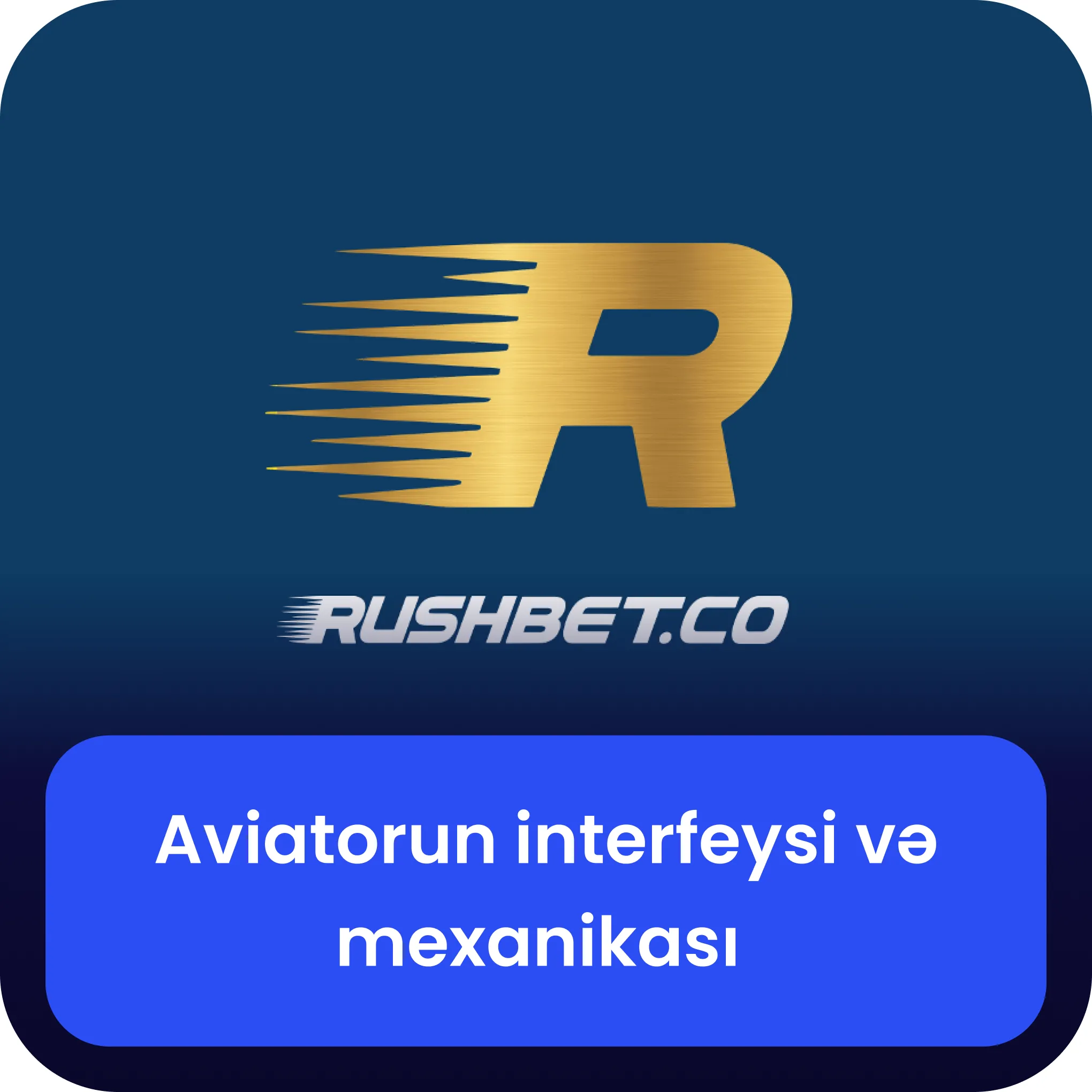 rushbet aviator interfeys