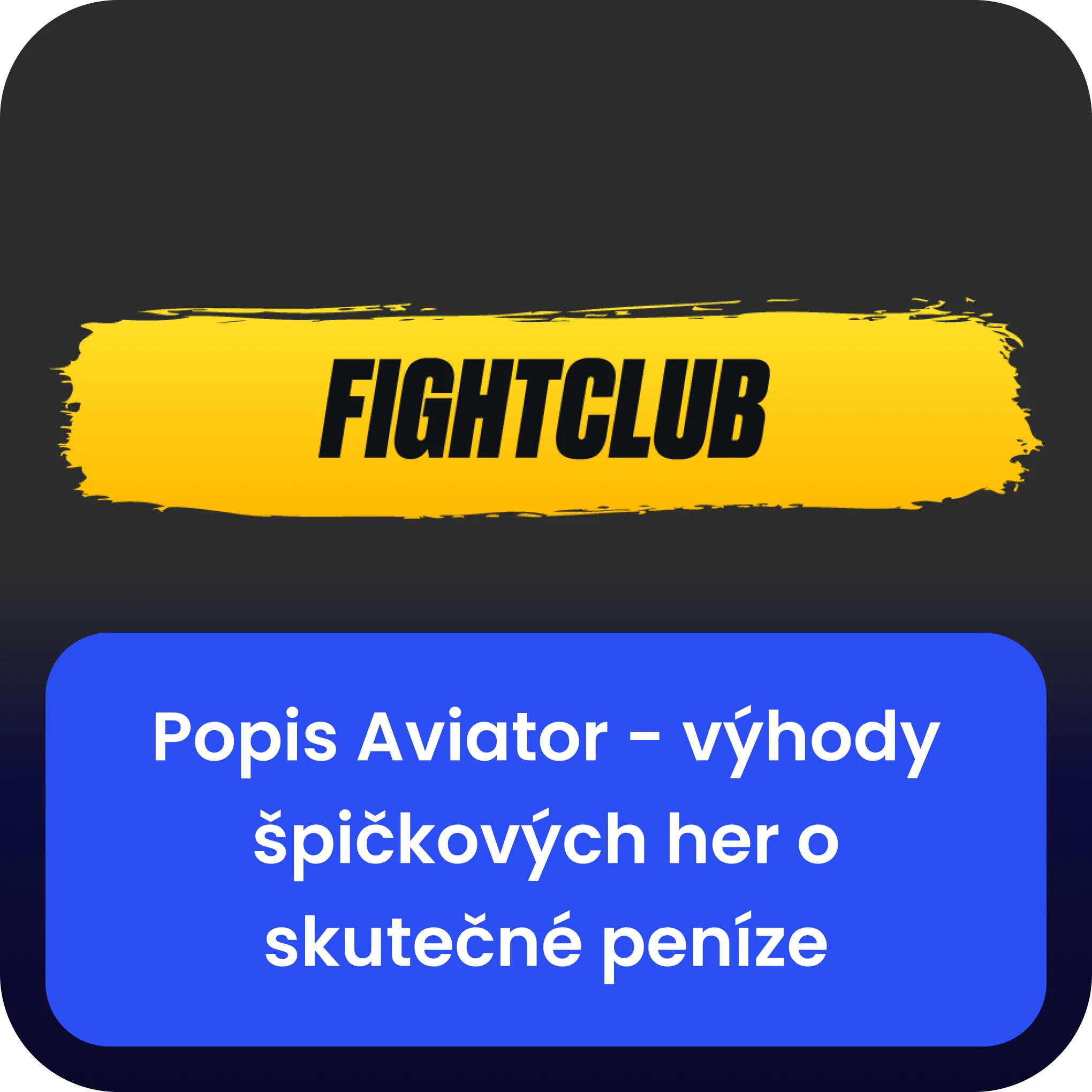 fight club aviator popis